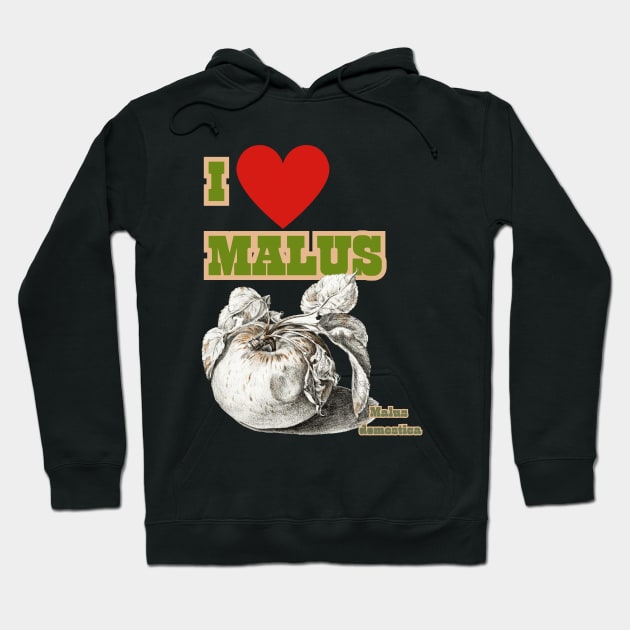 I HEART Malus. Cider and Apple Fan Chant! Hoodie by SwagOMart